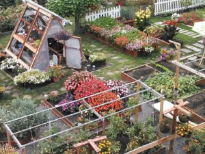 The Magic Garden | Antigua Mechanical | US Boiler Report September 2018